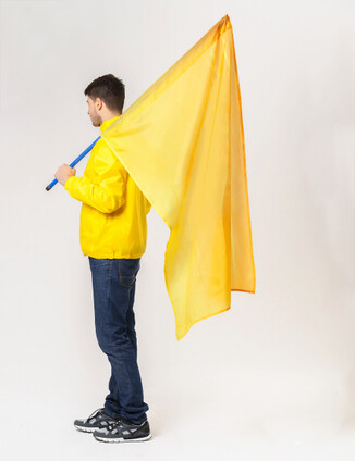 Желтый Флаг - фото 5