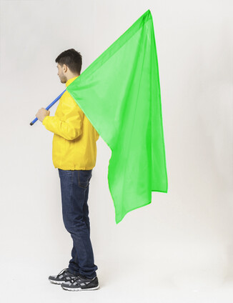 Салатовый флаг - фото 1