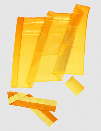 Желтый Флаг - фото 2