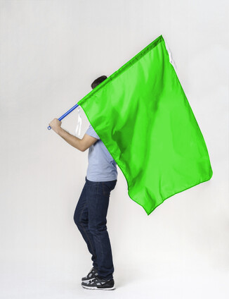 Салатовый флаг - фото 0