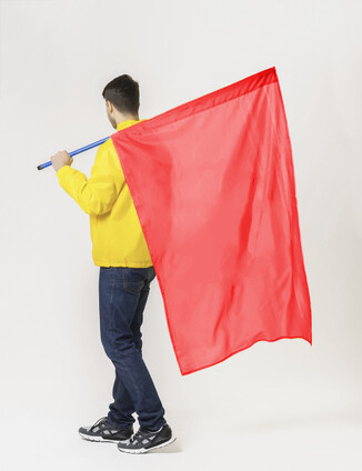 Красный флаг - фото 3