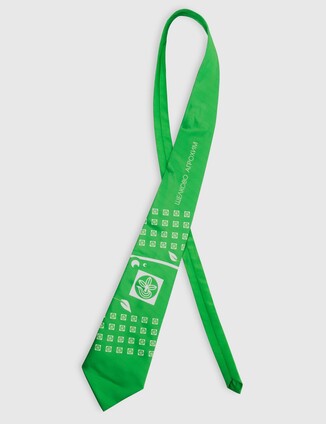 Зелёный галстук - фото 0
