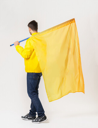 Желтый Флаг - фото 4